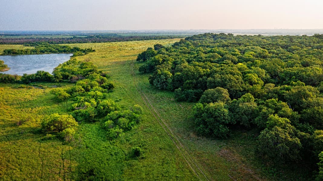 Hunter Ranch Landscape